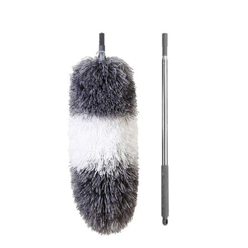 Feather Duster